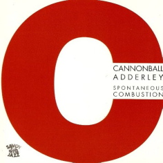 Spontaneous Combustion